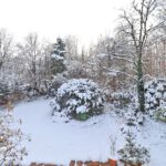 Süd-Ausblick Schlafzimmer