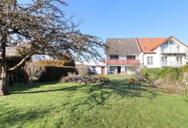 Garten mit Blick auf die Terrasse