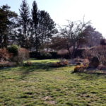 Großer Garten