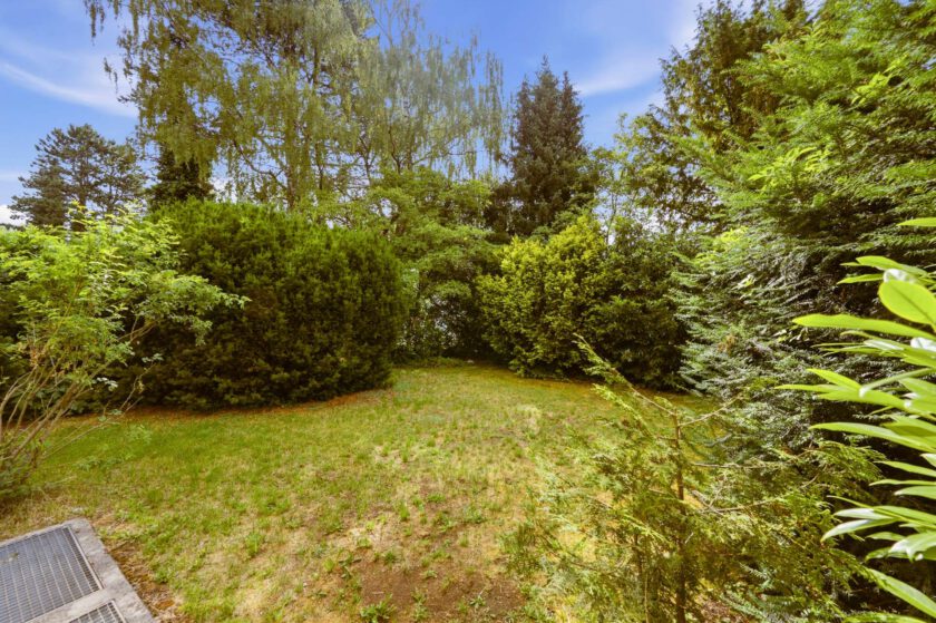 Eingewachsener Garten