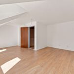 Zimmer DG