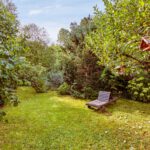 Eingewachsener Garten