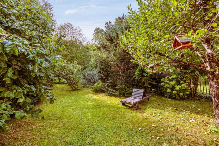 Eingewachsener Garten